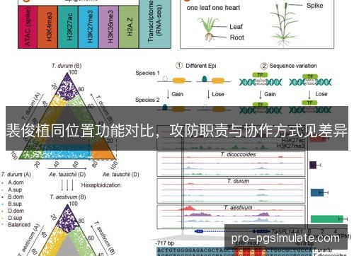 裴俊植同位置功能对比,攻防职责与协作方式见差异 裴俊植同位置功能对比,攻防职责与协作方式见差异